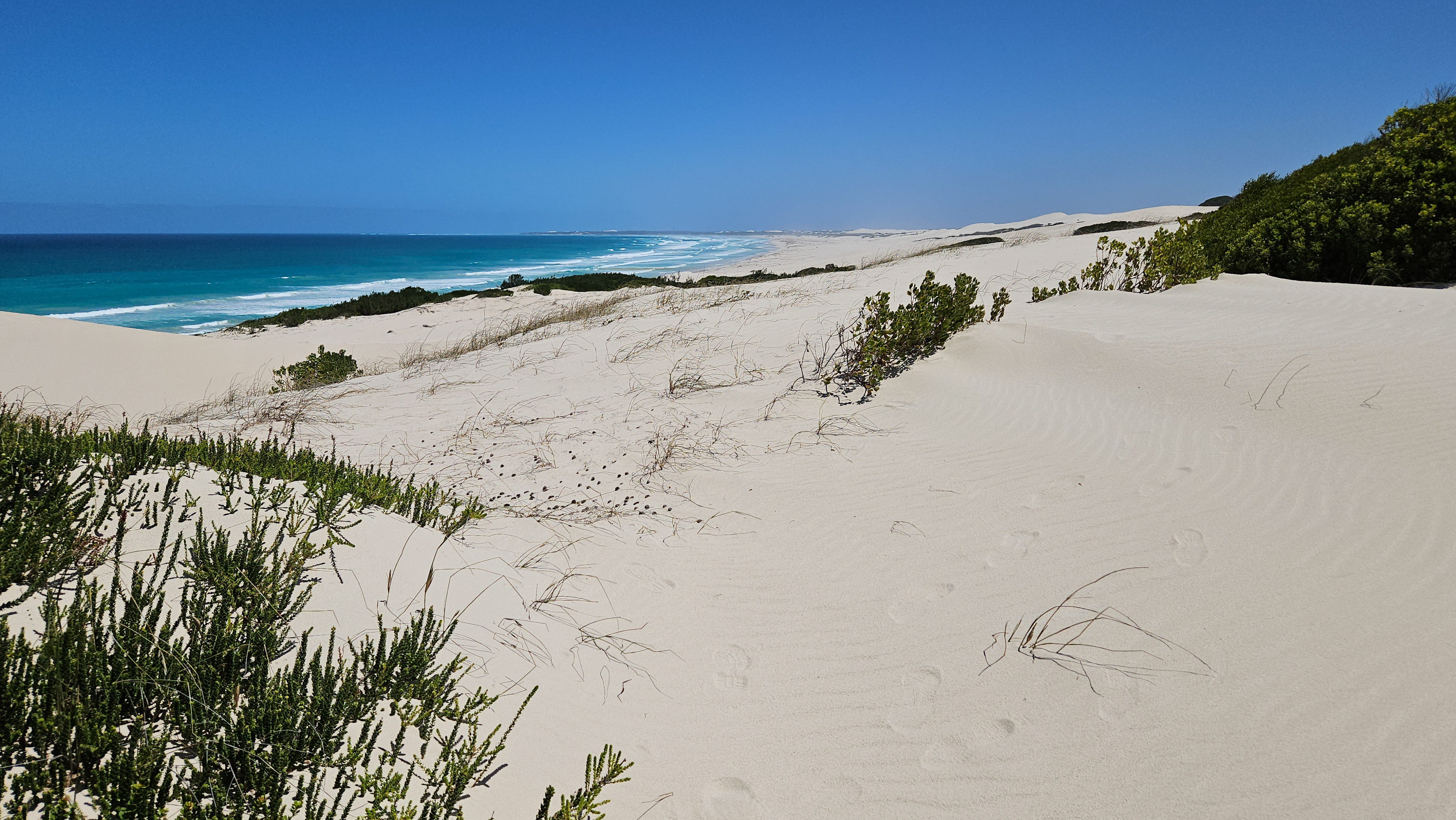 De Hoop N.P.